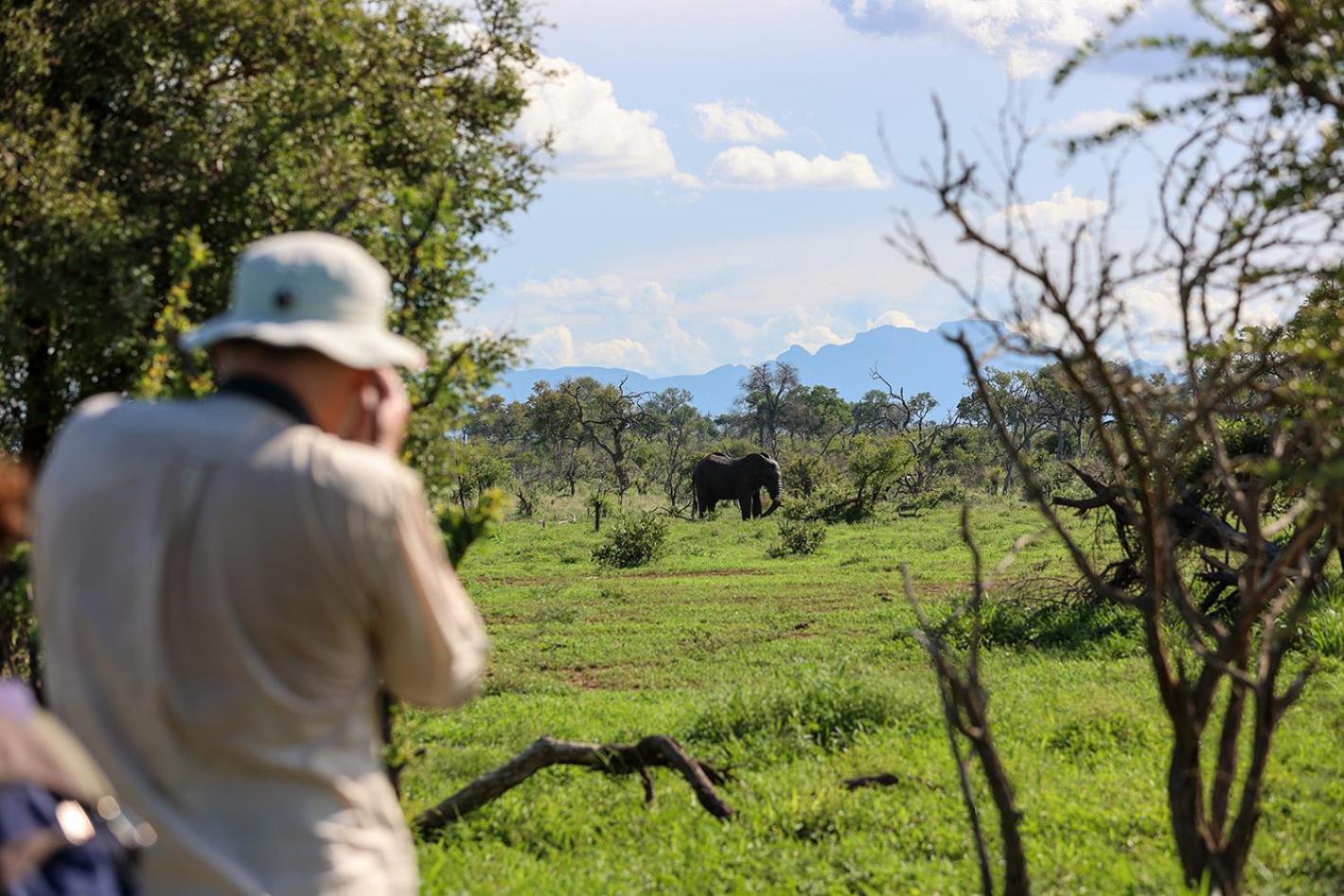 Tomo Safari Hoedspruit